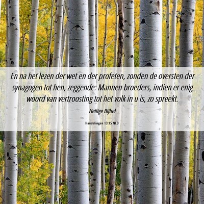 Picture 06 - Handelingen 13:15 NLD - En na het lezen der wet en der profeten, zonden - Bible Verse Picture