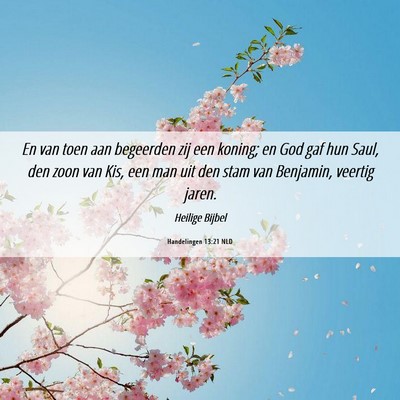 Picture 06 - Handelingen 13:21 NLD - En van toen aan begeerden zij een koning; en God - Bible Verse Picture