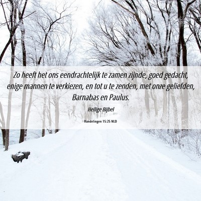 Picture 06 - Handelingen 15:25 NLD - Zo heeft het ons eendrachtelijk te zamen zijnde, - Bible Verse Picture