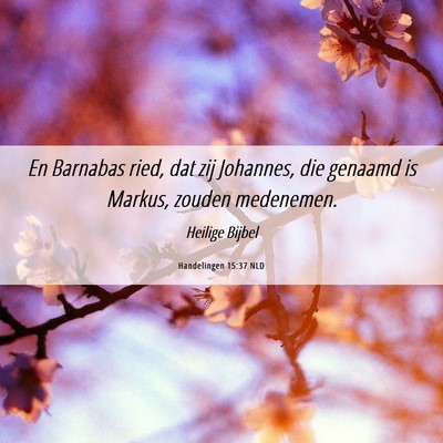 Picture 06 - Handelingen 15:37 NLD - En Barnabas ried, dat zij Johannes, die genaamd - Bible Verse Picture