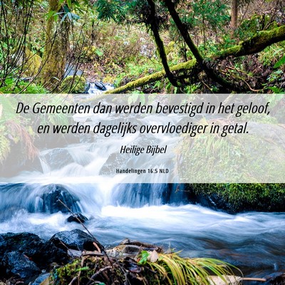 Picture 06 - Handelingen 16:5 NLD - De Gemeenten dan werden bevestigd in het geloof, - Bible Verse Picture