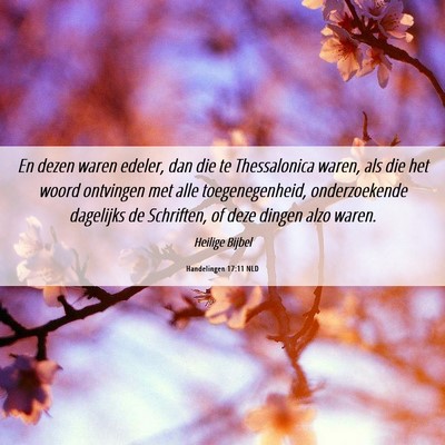Picture 06 - Handelingen 17:11 NLD - En dezen waren edeler, dan die te Thessalonica - Bible Verse Picture