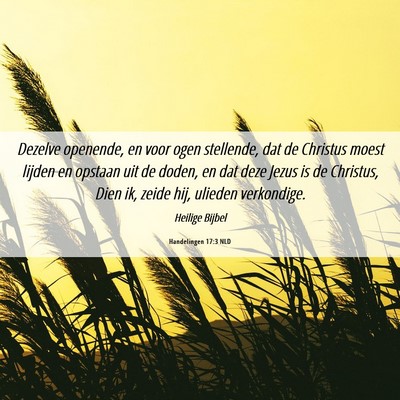 Picture 06 - Handelingen 17:3 NLD - Dezelve openende, en voor ogen stellende, dat de - Bible Verse Picture