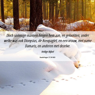 Picture 06 - Handelingen 17:34 NLD - Doch sommige mannen hingen hem aan, en geloofden; - Bible Verse Picture
