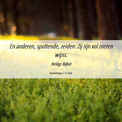 Picture 06 - Handelingen 2:13 NLD - En anderen, spottende, zeiden: Zij zijn vol - Bible Verse Picture