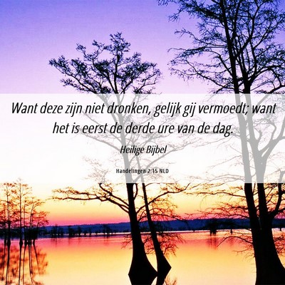 Picture 06 - Handelingen 2:15 NLD - Want deze zijn niet dronken, gelijk gij vermoedt; - Bible Verse Picture