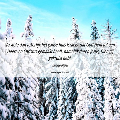 Picture 06 - Handelingen 2:36 NLD - Zo wete dan zekerlijk het ganse huis Israels, dat - Bible Verse Picture