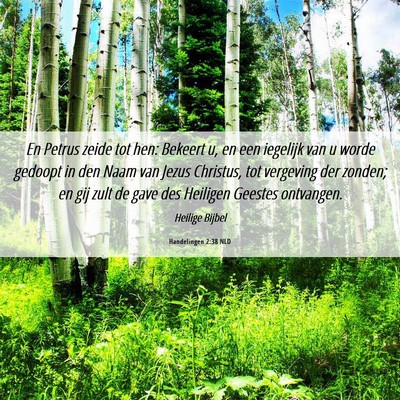 Picture 06 - Handelingen 2:38 NLD - En Petrus zeide tot hen: Bekeert u, en een - Bible Verse Picture
