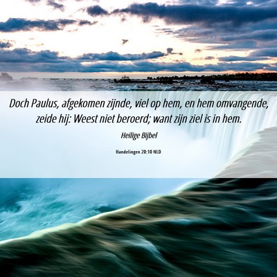 Picture 06 - Handelingen 20:10 NLD - Doch Paulus, afgekomen zijnde, viel op hem, en - Bible Verse Picture