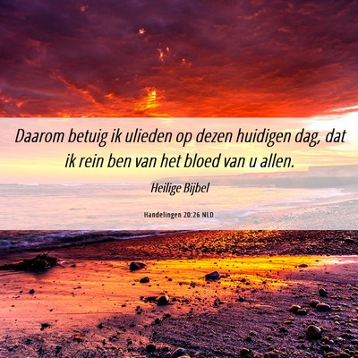 Picture 06 - Handelingen 20:26 NLD - Daarom betuig ik ulieden op dezen huidigen dag, - Bible Verse Picture