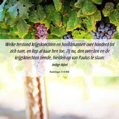 Picture 06 - Handelingen 21:32 NLD - Welke terstond krijgsknechten en hoofdmannen over - Bible Verse Picture