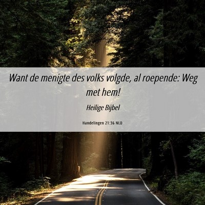 Picture 06 - Handelingen 21:36 NLD - Want de menigte des volks volgde, al roepende: - Bible Verse Picture