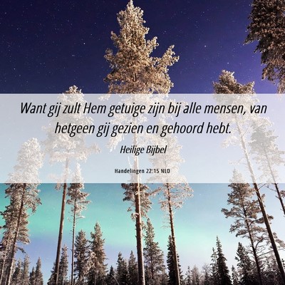 Picture 06 - Handelingen 22:15 NLD - Want gij zult Hem getuige zijn bij alle mensen, - Bible Verse Picture