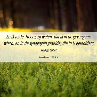 Picture 06 - Handelingen 22:19 NLD - En ik zeide: Heere, zij weten, dat ik in de - Bible Verse Picture