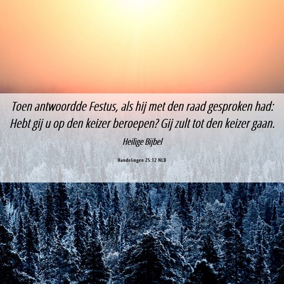 Picture 06 - Handelingen 25:12 NLD - Toen antwoordde Festus, als hij met den raad - Bible Verse Picture