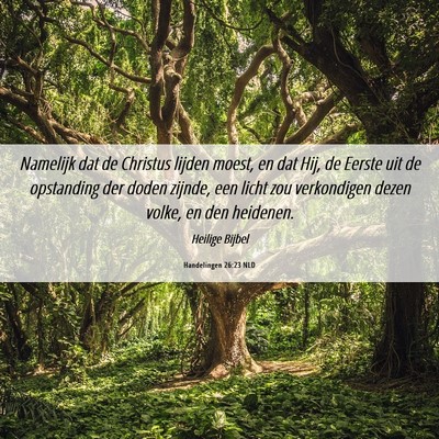 Picture 06 - Handelingen 26:23 NLD - Namelijk dat de Christus lijden moest, en dat - Bible Verse Picture