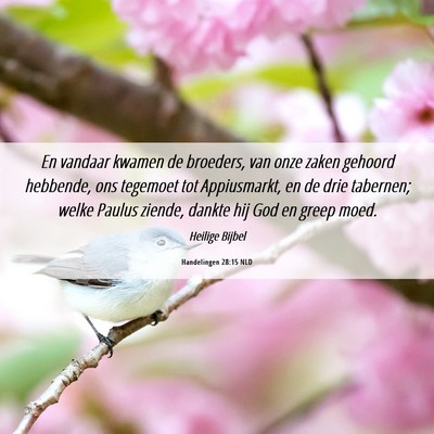 Picture 06 - Handelingen 28:15 NLD - En vandaar kwamen de broeders, van onze zaken - Bible Verse Picture