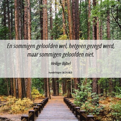 Picture 06 - Handelingen 28:24 NLD - En sommigen geloofden wel, hetgeen gezegd werd, - Bible Verse Picture