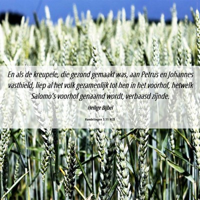 Picture 06 - Handelingen 3:11 NLD - En als de kreupele, die gezond gemaakt was, aan - Bible Verse Picture