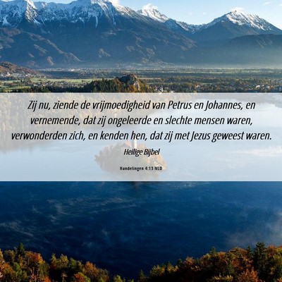 Picture 06 - Handelingen 4:13 NLD - Zij nu, ziende de vrijmoedigheid van Petrus en - Bible Verse Picture