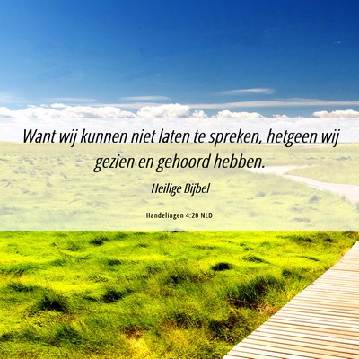 Picture 06 - Handelingen 4:20 NLD - Want wij kunnen niet laten te spreken, hetgeen - Bible Verse Picture