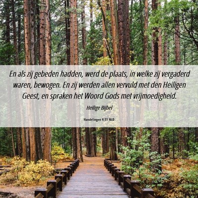 Picture 06 - Handelingen 4:31 NLD - En als zij gebeden hadden, werd de plaats, in - Bible Verse Picture