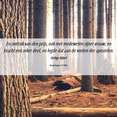 Picture 06 - Handelingen 5:2 NLD - En onttrok van den prijs, ook met medeweten - Bible Verse Picture