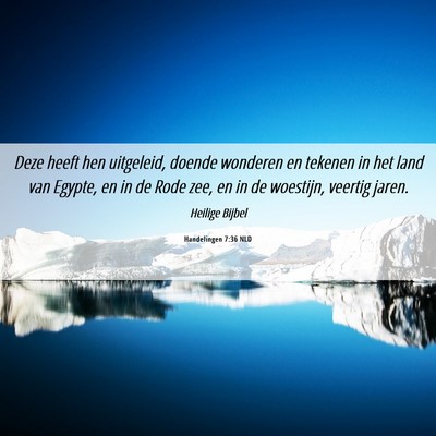 Picture 06 - Handelingen 7:36 NLD - Deze heeft hen uitgeleid, doende wonderen en - Bible Verse Picture