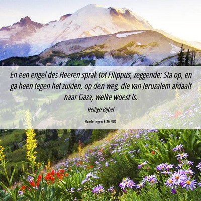 Picture 06 - Handelingen 8:26 NLD - En een engel des Heeren sprak tot Filippus, - Bible Verse Picture