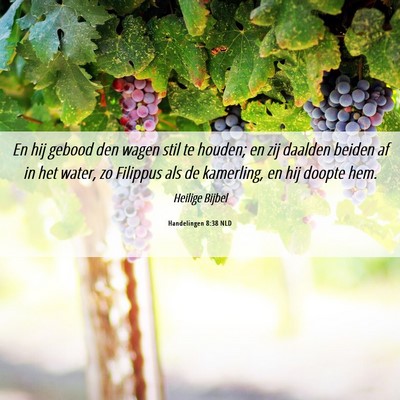 Picture 06 - Handelingen 8:38 NLD - En hij gebood den wagen stil te houden; en zij - Bible Verse Picture