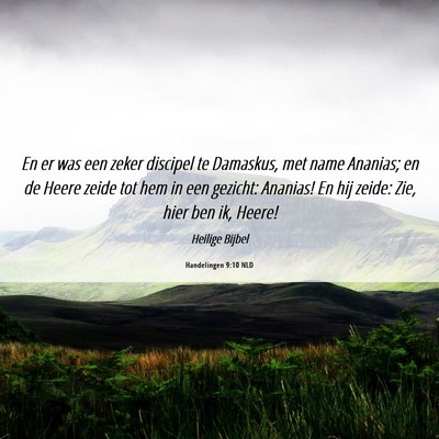 Picture 06 - Handelingen 9:10 NLD - En er was een zeker discipel te Damaskus, met - Bible Verse Picture