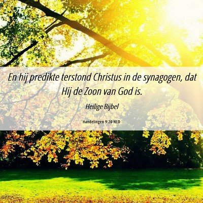 Picture 06 - Handelingen 9:20 NLD - En hij predikte terstond Christus in de - Bible Verse Picture
