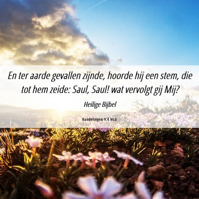 Picture 06 - Handelingen 9:4 NLD - En ter aarde gevallen zijnde, hoorde hij een - Bible Verse Picture