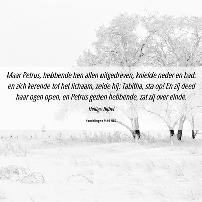 Picture 06 - Handelingen 9:40 NLD - Maar Petrus, hebbende hen allen uitgedreven, - Bible Verse Picture