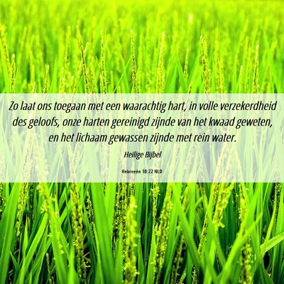 Picture 06 - Hebreeën 10:22 NLD - Zo laat ons toegaan met een waarachtig hart, in - Bible Verse Picture