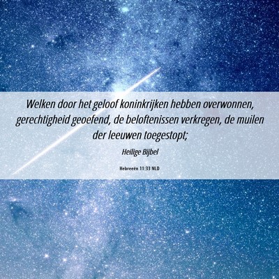 Picture 06 - Hebreeën 11:33 NLD - Welken door het geloof koninkrijken hebben - Bible Verse Picture