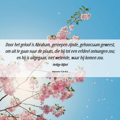 Picture 06 - Hebreeën 11:8 NLD - Door het geloof is Abraham, geroepen zijnde, - Bible Verse Picture