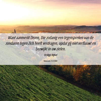 Picture 06 - Hebreeën 12:3 NLD - Want aanmerkt Dezen, Die zodanig een tegenspreken - Bible Verse Picture