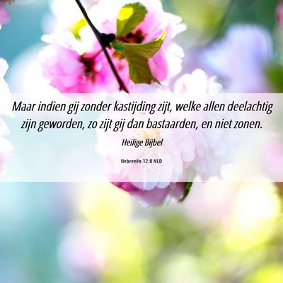 Picture 06 - Hebreeën 12:8 NLD - Maar indien gij zonder kastijding zijt, welke - Bible Verse Picture