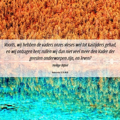 Picture 06 - Hebreeën 12:9 NLD - Voorts, wij hebben de vaders onzes vleses wel tot - Bible Verse Picture