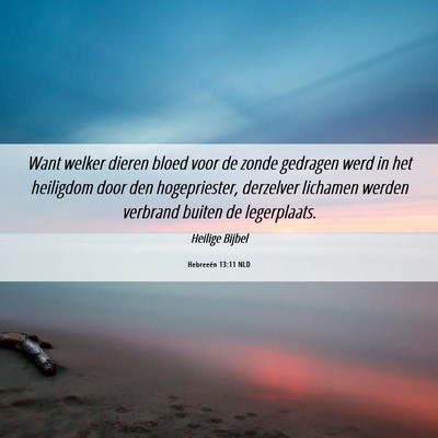 Picture 06 - Hebreeën 13:11 NLD - Want welker dieren bloed voor de zonde gedragen - Bible Verse Picture