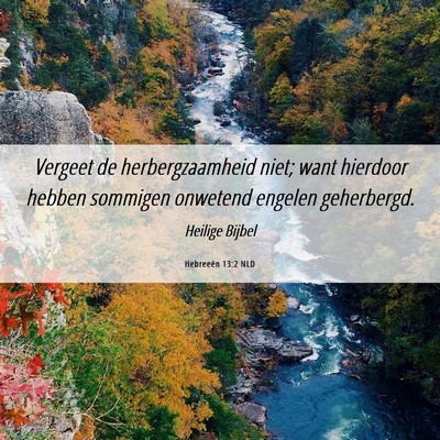Picture 06 - Hebreeën 13:2 NLD - Vergeet de herbergzaamheid niet; want hierdoor - Bible Verse Picture