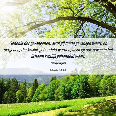 Picture 06 - Hebreeën 13:3 NLD - Gedenkt der gevangenen, alsof gij mede gevangen - Bible Verse Picture