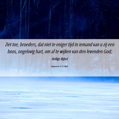Picture 06 - Hebreeën 3:12 NLD - Ziet toe, broeders, dat niet te eniger tijd in - Bible Verse Picture