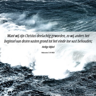 Picture 06 - Hebreeën 3:14 NLD - Want wij zijn Christus deelachtig geworden, zo - Bible Verse Picture