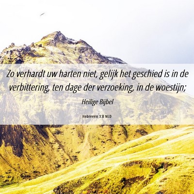 Picture 06 - Hebreeën 3:8 NLD - Zo verhardt uw harten niet, gelijk het geschied - Bible Verse Picture