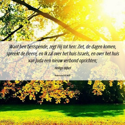 Picture 06 - Hebreeën 8:8 NLD - Want hen berispende, zegt Hij tot hen: Ziet, de - Bible Verse Picture