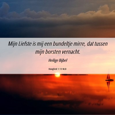Picture 06 - Hooglied 1:13 NLD - Mijn Liefste is mij een bundeltje mirre, dat - Bible Verse Picture