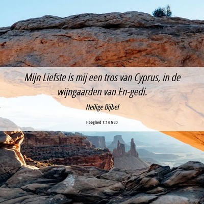 Picture 06 - Hooglied 1:14 NLD - Mijn Liefste is mij een tros van Cyprus, in de - Bible Verse Picture