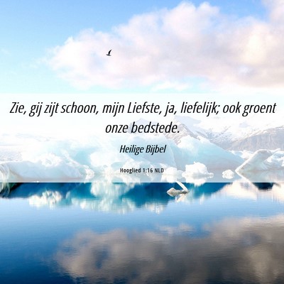 Picture 06 - Hooglied 1:16 NLD - Zie, gij zijt schoon, mijn Liefste, ja, - Bible Verse Picture